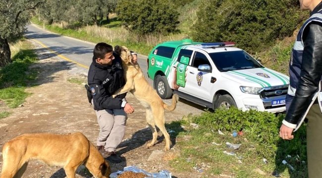Son dakika haberi | Polis ekiplerinden sokak hayvanlarına mama desteği